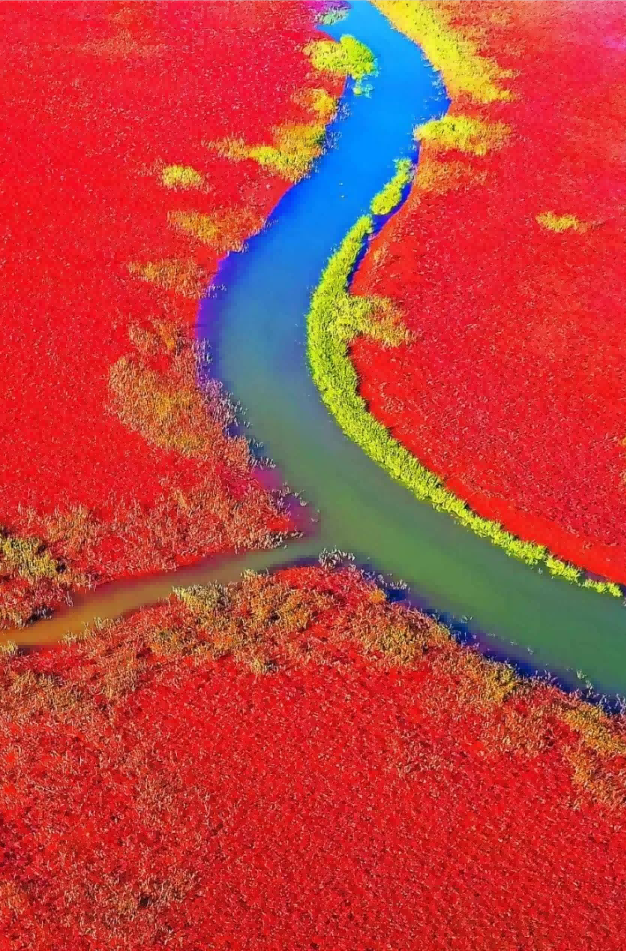 黃河(hé)入海流——山影鏡頭裏的時(shí)代變遷故事(shì)