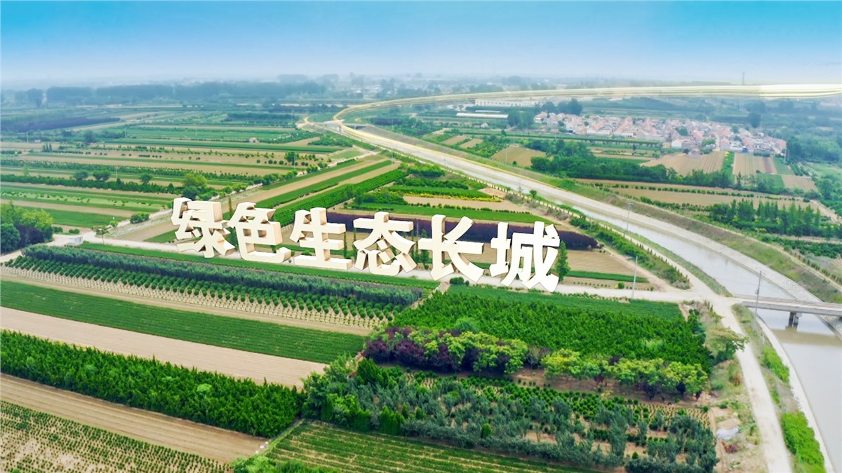 《調水(shuǐ)爲民 服務發展》齊魯音(yīn)像凝聚護水(shuǐ)合力